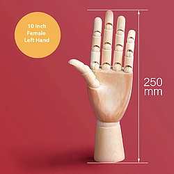 10 Inch Movable Female Left Hand Model