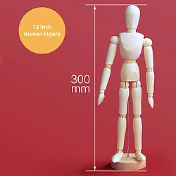 12 Inch Movable Human Model