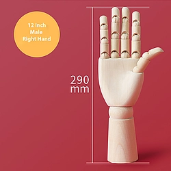 12 Inch Movable Male Right Hand Model
