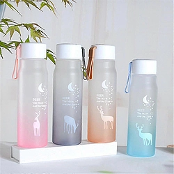 Frosted Portable Drinking Water Bottle